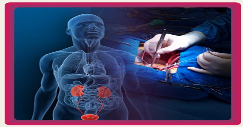kidney-transplant-india-unlimited-benefits-reasonable-price