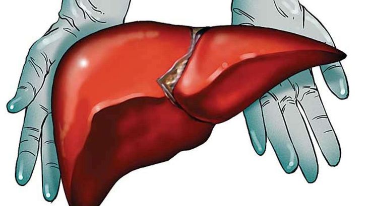 custo-transplante de fígado-índia