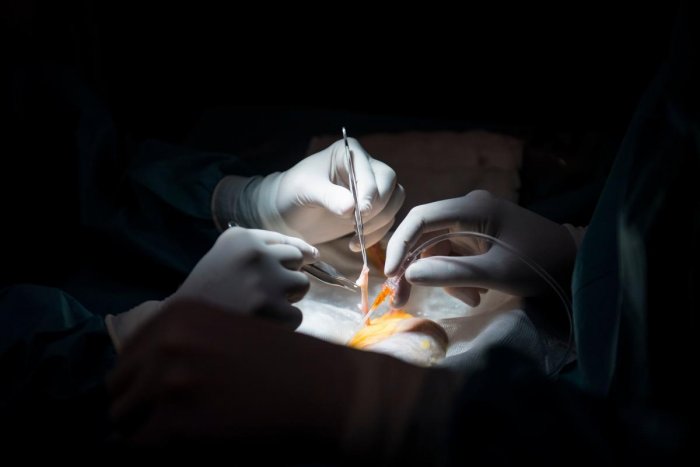 4-vellykkede-lungetransplantationer-udført-på-gleneagles-global-hospital-bangalore