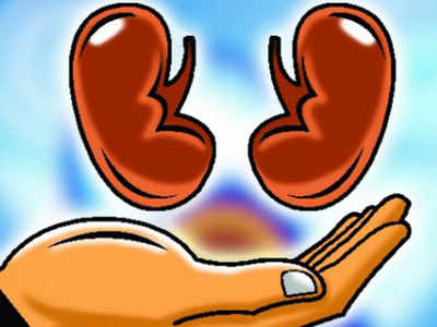 a-73-year-old-patient-successfully-gets-both-her-kidneys-transplanted