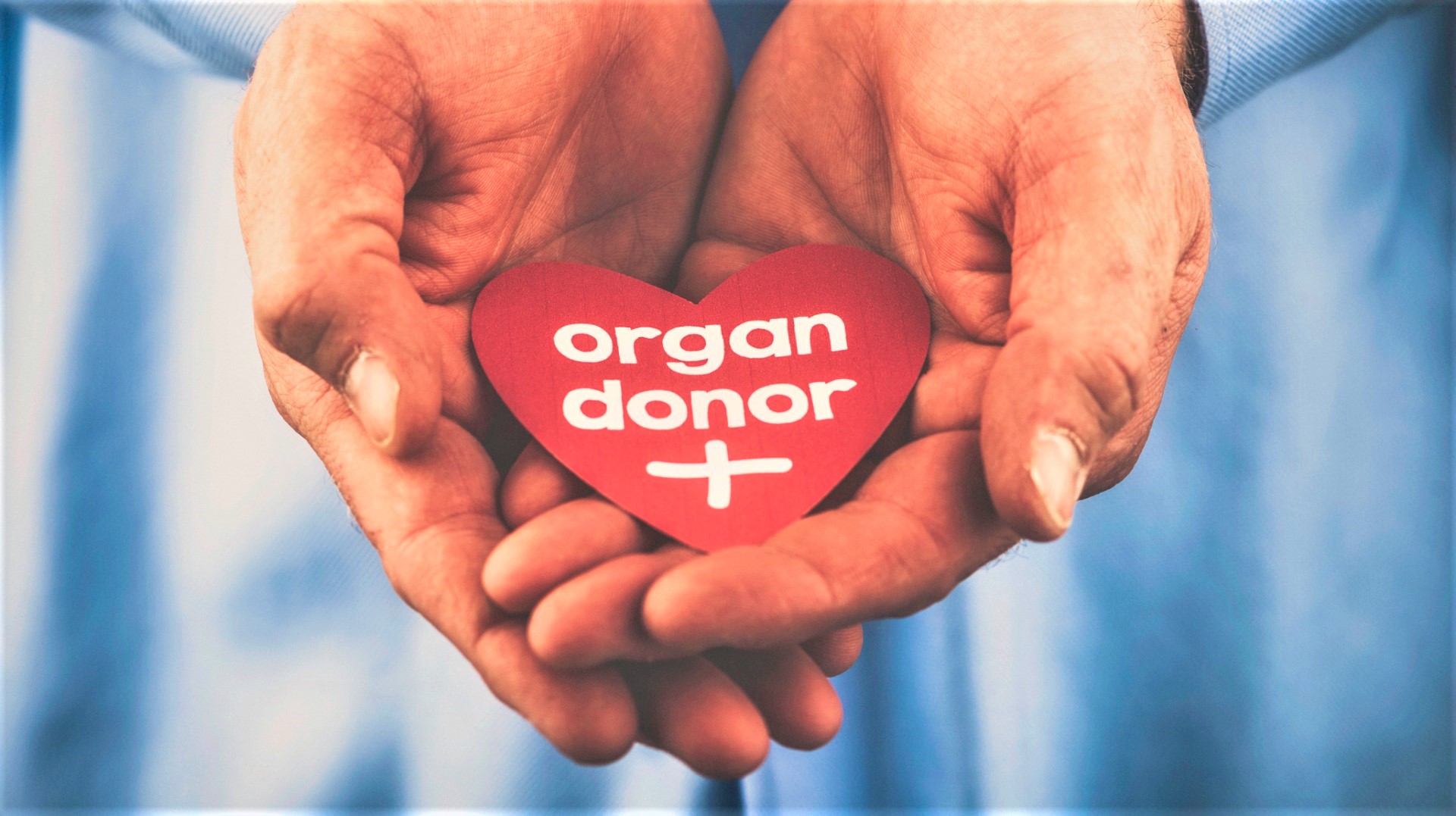 regras-regulamentos-para-doação-de-órgãos-na-índia