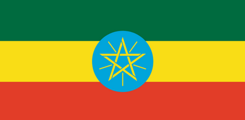 medical-visa-ethiopia-india