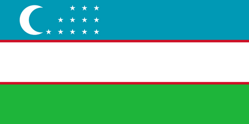medical-visa-uzbekistan-india