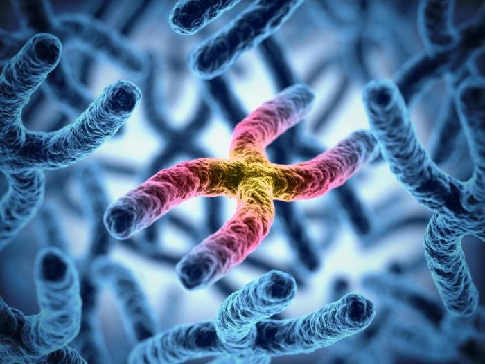 chromosomal-disorders-in-humans