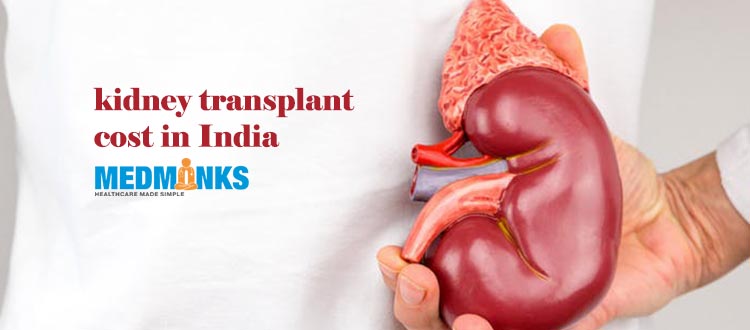Nierentransplantationskosten-Indien