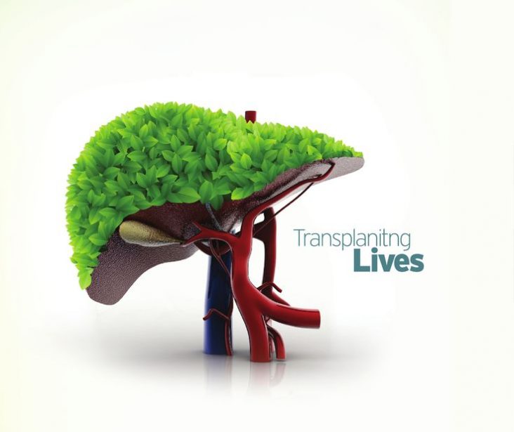 liver-transplant-india-cheapest-cost-great-medical-services